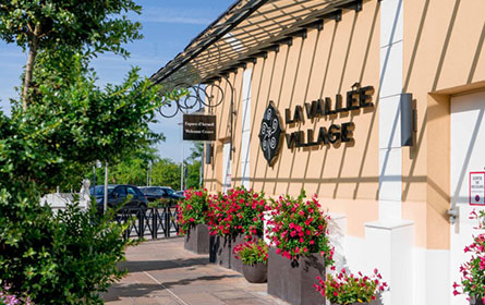 shopping at valle village