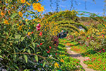 Thumbnail of Claude Monet's house transfer service - Easy Go Shuttle private Giverny tour transportation