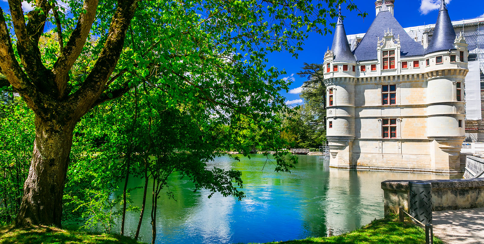 Scenic Loire Valley vineyards - luxury day trip from Paris with comfortable private car service by Easy Go Shuttle