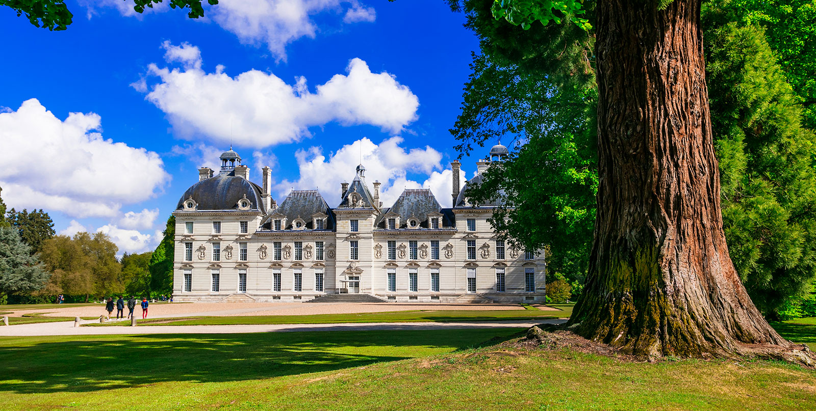 Loire Valley wine tasting experience - luxury transportation from Paris with Easy Go Shuttle's private car service