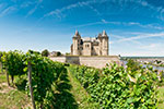 Thumbnail: Castle interior - premium Loire Valley château tours