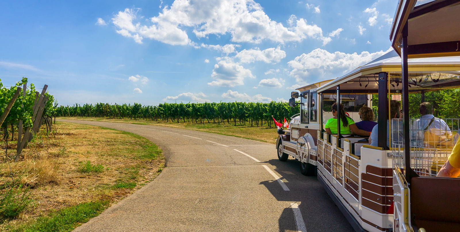 Reims Champagne Tour from Paris - Historic Champagne House vineyard with Easy Go Shuttle private transfer