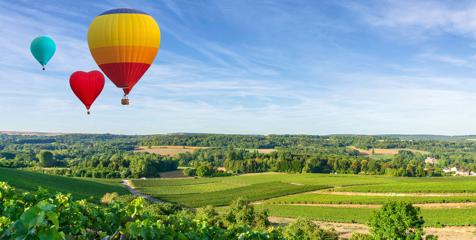 Champagne tasting experience in Reims - Paris to Champagne region private tour with English speaking driver