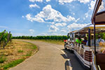Thumbnail: Reims Champagne vineyard tour from Paris - Private transport with Easy Go Shuttle