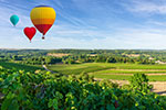 Thumbnail: Champagne tasting session in Reims - Airport transfer from Paris with bilingual guides