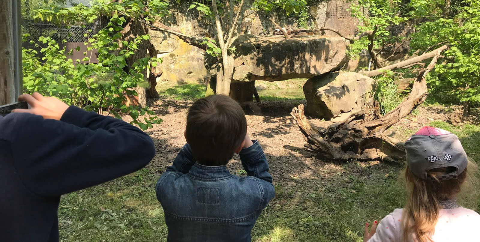 Professional chauffeur service for Thoiry Zoo day trips from Paris hotels