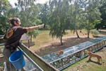 Thumbnail: Family Thoiry Zoo excursion with child-friendly Paris shuttle service